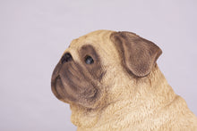 Fawn Pug Resin Figurine Extra Large Pet Urn