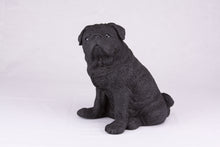 Black Pug Resin Figurine Extra Large Pet Urn