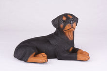 Black & Tan Rottweiler Resin Figurine Extra Large Pet Urn
