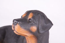 Black & Tan Rottweiler Resin Figurine Extra Large Pet Urn