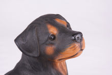 Black & Tan Rottweiler Resin Figurine Extra Large Pet Urn