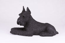 Black Schnauzer with Ears Up Resin Figurine Extra Large Pet Urn