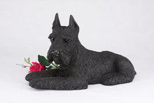 Black Schnauzer with Ears Up Resin Figurine Extra Large Pet Urn