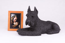 Black Schnauzer with Ears Up Resin Figurine Extra Large Pet Urn