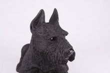 Black Schnauzer with Ears Up Resin Figurine Extra Large Pet Urn
