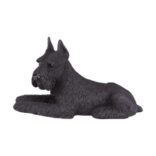 Black Schnauzer with Ears Up Resin Figurine Extra Large Pet Urn