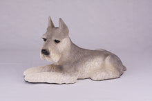 Silver & Cream Schnauzer with Ears Up Figurine Extra Large Pet Urn
