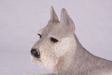 Silver & Cream Schnauzer with Ears Up Figurine Extra Large Pet Urn