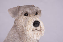 Silver & Cream Schnauzer with Ears Down Figurine Extra Large Pet Urn