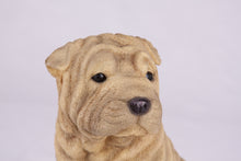 Fawn Shar Pei Resin Figurine Large Pet Urn