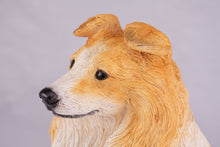 Golden & White Sheltie Resin Figurine Extra Large Pet Urn