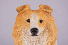 Golden & White Sheltie Resin Figurine Extra Large Pet Urn
