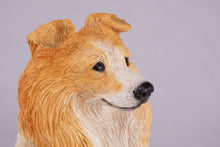 Golden & White Sheltie Resin Figurine Extra Large Pet Urn