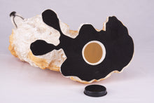 Golden & White Sheltie Resin Figurine Extra Large Pet Urn - Bottom