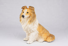 Black, White & Tan Tri-Color Sheltie Figurine Extra Large Pet Urn