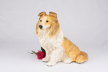 Black, White & Tan Tri-Color Sheltie Figurine Extra Large Pet Urn