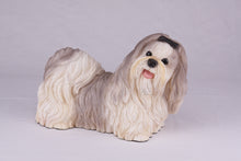 Gray & White Parti-Color Shih Tzu Figurine Extra Large Pet Urn