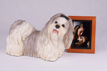 Gray & White Parti-Color Shih Tzu Figurine Extra Large Pet Urn