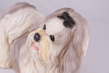 Gray & White Parti-Color Shih Tzu Figurine Extra Large Pet Urn