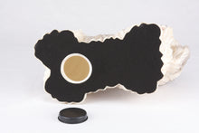 Gray & White Parti-Color Shih Tzu Figurine Extra Large Pet Urn - Bottom