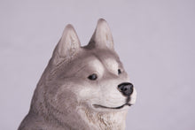 Gray & White Siberian Husky Resin Figurine Extra Large Pet Urn