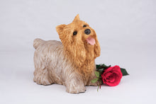 Tan & Cream Yorkshire Terrier Resin Figurine Large Pet Urn
