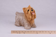 Tan & Cream Yorkshire Terrier Resin Figurine Large Pet Urn