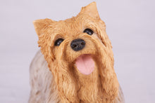 Tan & Cream Yorkshire Terrier Resin Figurine Large Pet Urn