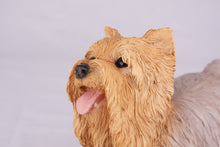 Tan & Cream Yorkshire Terrier Resin Figurine Large Pet Urn