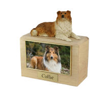 Wooden Pet Urn with Lying Down Collie Figurine & 4x6 Inches Photo Holder