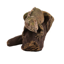 Wooden Pet Urn with Lying Down Iguana Figurine & 4x6 Inches Photo Holder