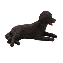 Wooden Pet Urn with Lying Down Black Labradoodle Figurine & 4x6 Inches Photo Holder