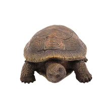 Wooden Pet Urn with Standing Turtle Figurine & 4x6 Inches Photo Holder