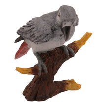 Wooden Pet Urn with Perched Gray African Parrot Figurine & 4x6 Inches Photo Holder