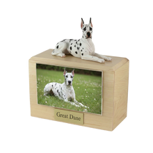 Wooden Pet Urn with Lying Down Harlequin Great Dane Figurine & 4x6 Inches Photo Holder