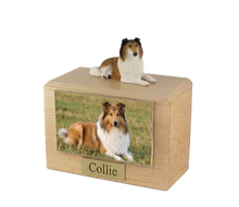 Urna de madera para mascotas con figura de terrier escocés sentado y portafotos de 10 x 15 cm