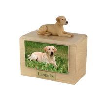 Urna de madera para mascotas con figura de terrier escocés sentado y portafotos de 10 x 15 cm