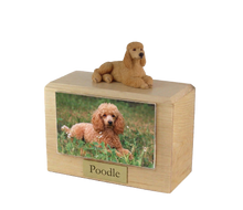 Wooden Pet Urn with Lying Down Apricot Poodle Figurine & 4x6 Inches Photo Holder