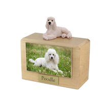 Wooden Pet Urn with Resting White Poodle Figurine & 4x6 Inches Photo Holder