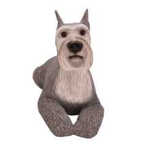 Wooden Pet Urn with Grey Schnauzer Ears-Up Figurine & 4x6 Inches Photo Holder