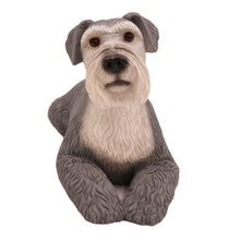 Wooden Pet Urn with Grey Schnauzer Ears-Down Figurine & 4x6 Inches Photo Holder