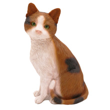 Wooden Pet Urn with Sitting Calico Cat Figurine & 4x6 Inches Photo Holder