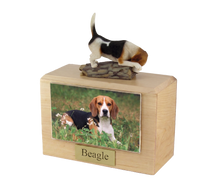 Urna de madera para mascotas con figura de terrier escocés sentado y portafotos de 10 x 15 cm