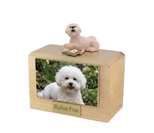 Wooden Pet Urn with White Bichon Frise with Books Lying Down Figurine & 3.5x5 Inches Photo Holder
