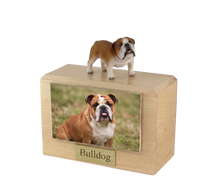 Wooden Pet Urn with Brown and White Bulldog Standing Figurine & 4x6 Inches Photo Holder