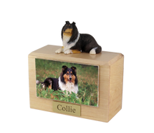 Urna de madera para mascotas con figura de terrier escocés sentado y portafotos de 10 x 15 cm