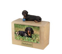 Urna de madera para mascotas con figura de border terrier sentado y portafotos de 8,9 x 12,7 cm