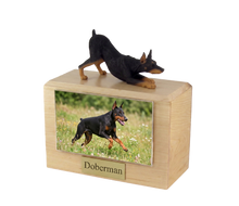 Wooden Pet Urn with Black & Tan Doberman Play Bowing Figurine & 4x6 Inches Photo Holder