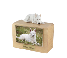 Wooden Pet Urn with White German Shepherd Resting Figurine & 4x6 Inches Photo Holder