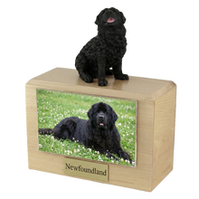 Urna de madera para mascotas con figura de border terrier sentado y portafotos de 10 x 15 cm